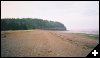 [08 Beach at Hopewell Rocks]