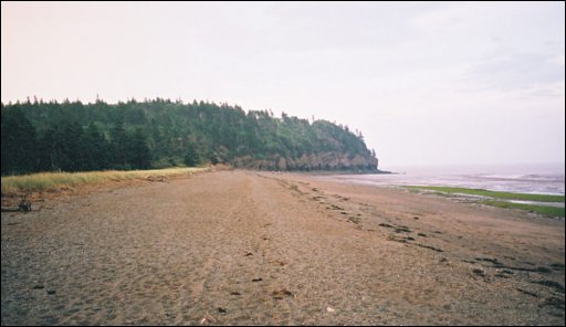 [08_Beach_at_Hopewell_Rocks.jpg]