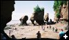 [11 Hopewell Rocks]