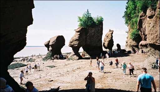 [11_Hopewell_Rocks.jpg]