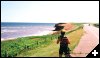 [16 PEI Coastline]