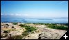 [43 From the Top]