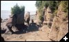 [16 Flowerpot Rocks]