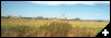 [19 Moncton skyline]