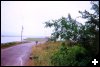 [09 Harvey Bank]