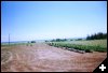 [13 Flower Beds]