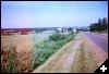 [16 random field]