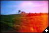 [17 pretty field]