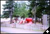 [37 Giant Lobster]