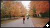 [06 Fall in Bennington]